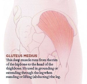Gluteus Medius and Hip Pain