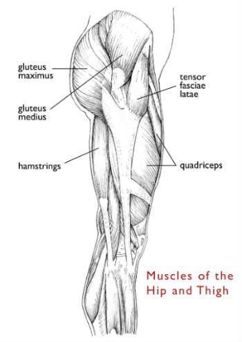 Help for the Hamstrings