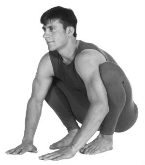 Prepare for crow pose