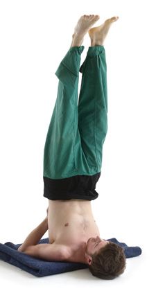 hatha yoga poses