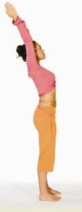 sun salutation