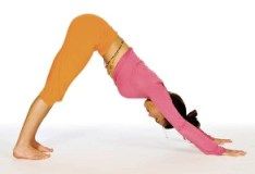 sun salutation