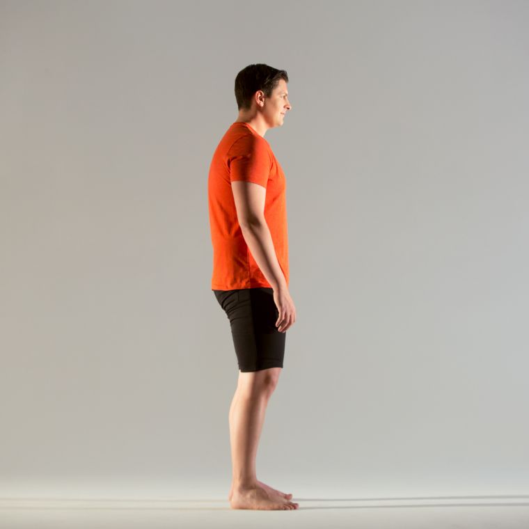 Neutral Pelvis