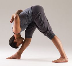 Dhanurasana
