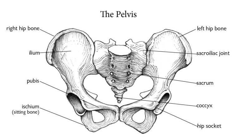 Help for the hips