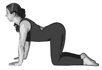 yoga for osteoarthritis
