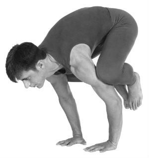 Prepare for crow pose