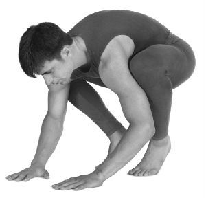 Prepare for crow pose