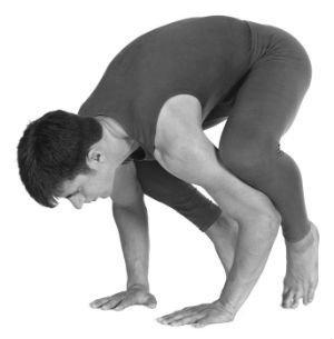 Prepare for crow pose