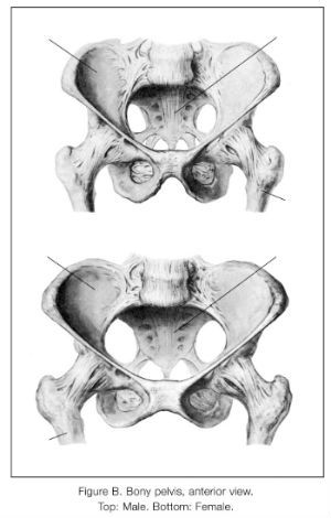 Sacroiliac Joint Pain