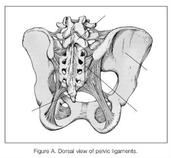 Yoga for Si Joint Pain