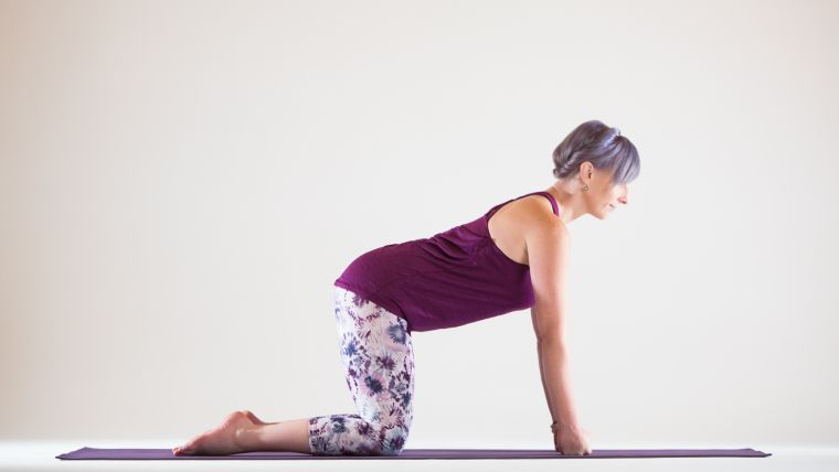 Yoga Modifications for Wrists