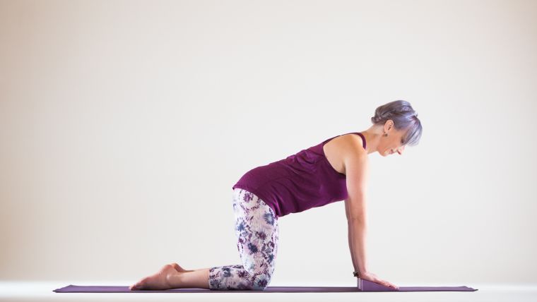 Yoga Modifications for Wrists