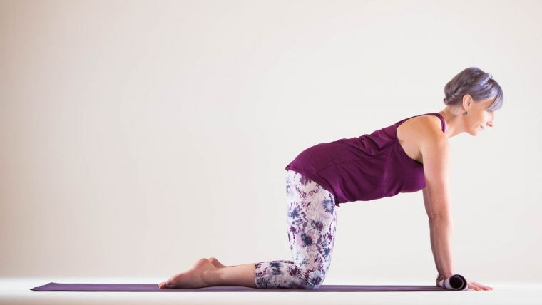 Yoga Modifications for Wrists