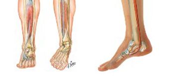 Yoga for Feet