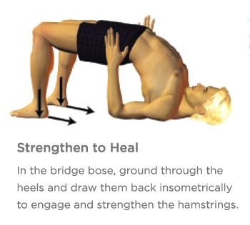 torn hamstring help