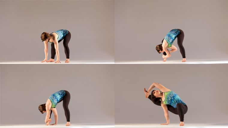 visvamitrasana