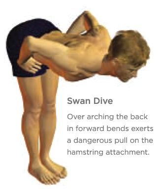 swan dive for hamstring
