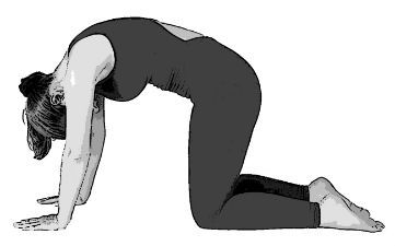 yoga for osteoarthritis