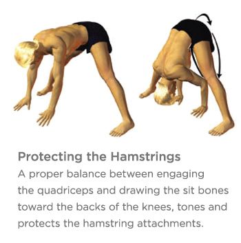 hamstring injuries