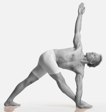 Bharadvajasana II