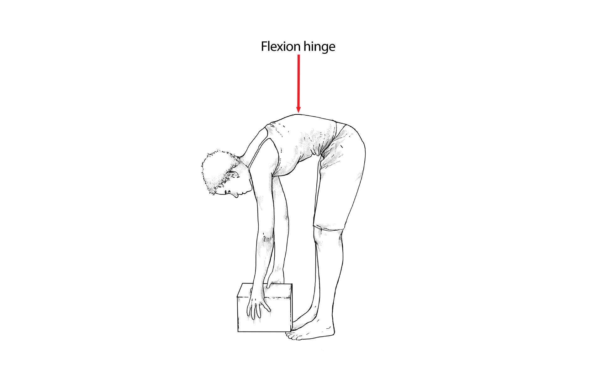 To Hinge or Not to Hinge?