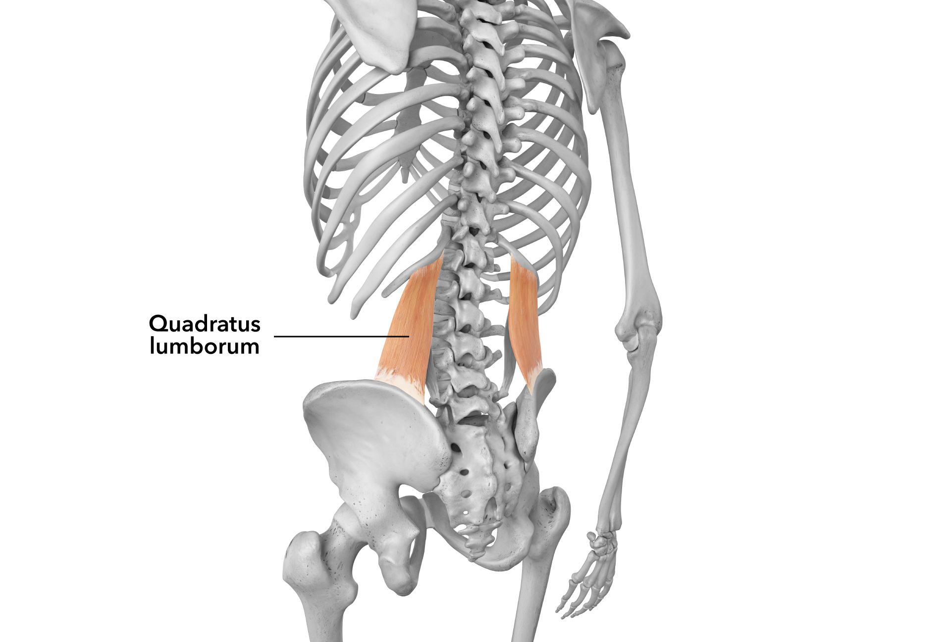 A Prenatal Practice for LowerBack Relief