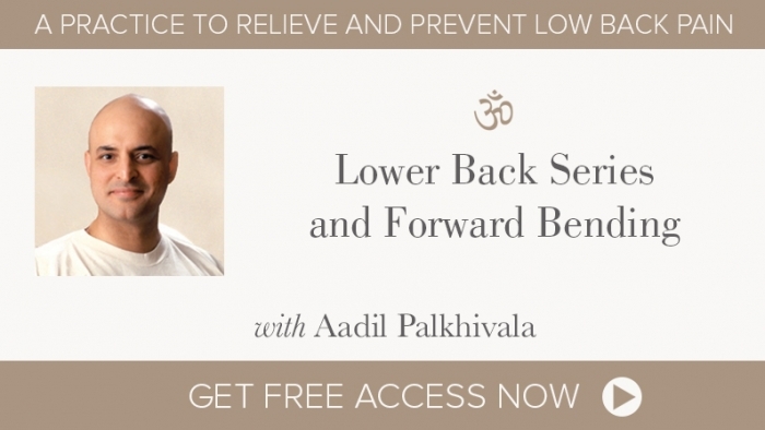 8 steps to a pain free back free pdf